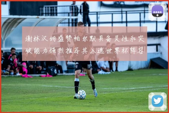 谢林汉姆盛赞帕尔默具备灵性和突破能力强烈推荐其入选世界杯阵容